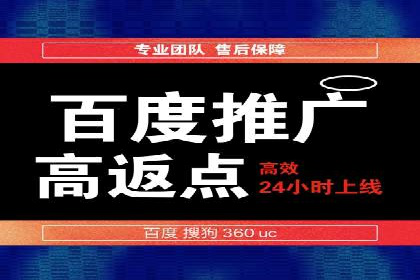 百度推广的成功案例：从零到一的突破